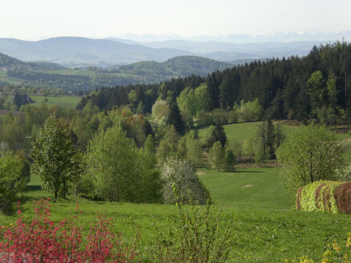 Pichler